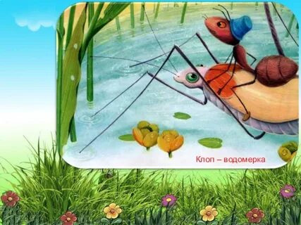 Игра по произведениям бианки
