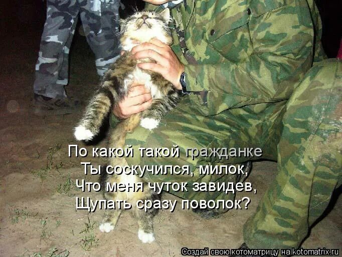 срочники. гражданка слово. что значит на гражданке. что означает слово гражданин. строй солдат.