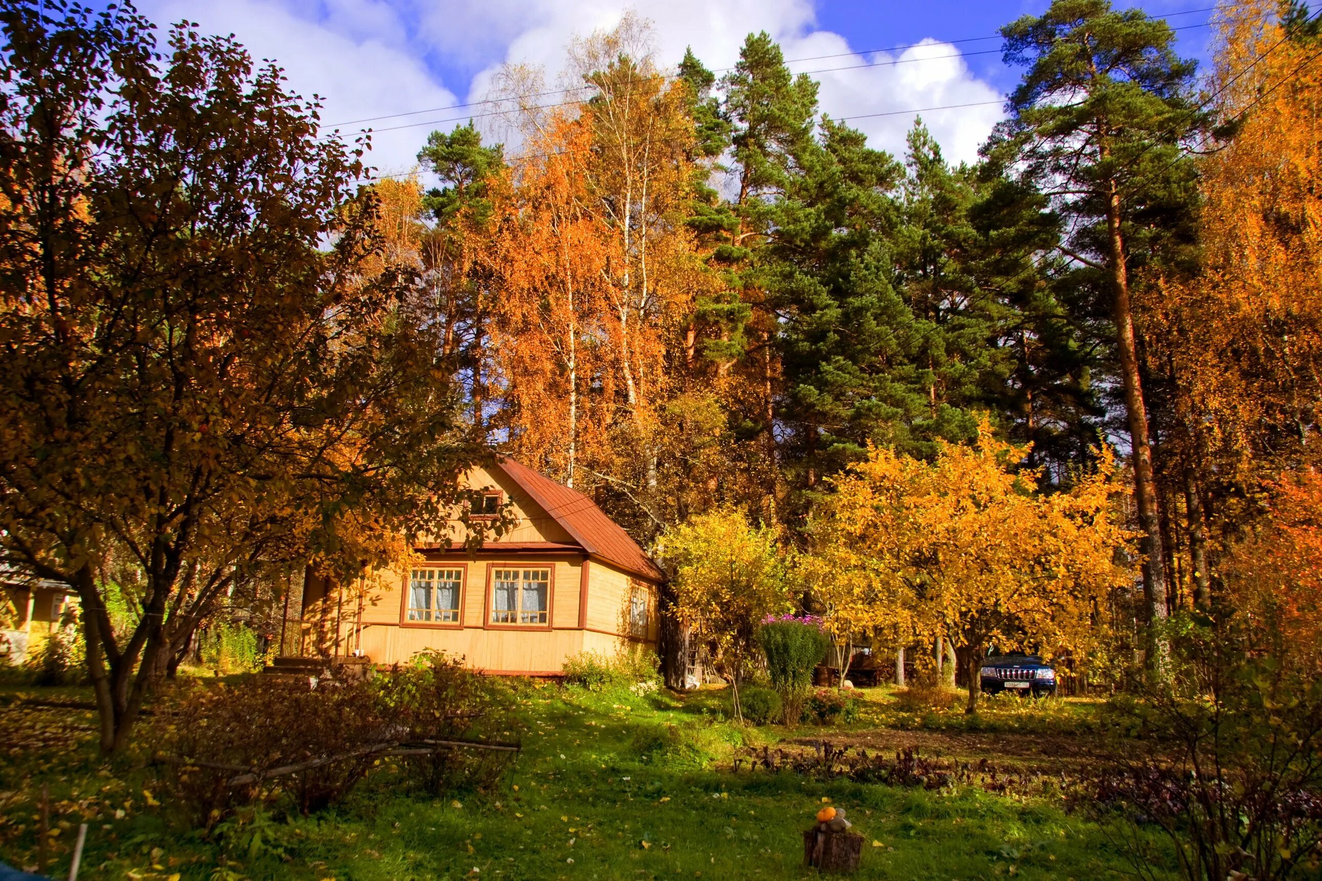 Поселок художников Переделкино. Осень в деревне. Деревня осенью. Осенний домик. Загородная природа