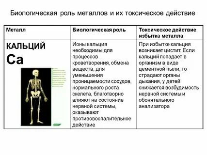 Na биологическая роль