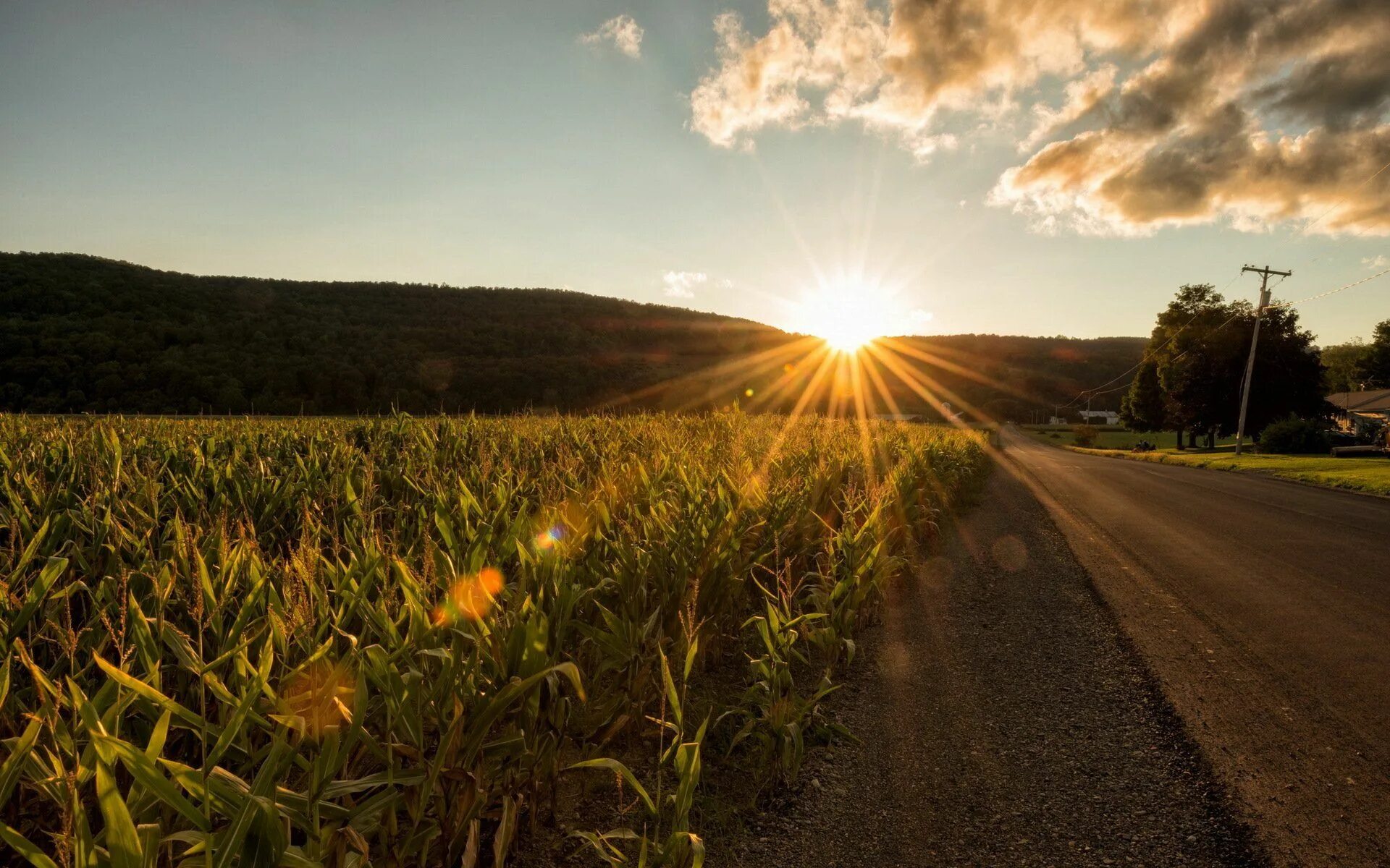 Солнце на дороге. Летняя дорога. Восходящее солнце и дорога. Солнышко дорога. Солнечная дорога.