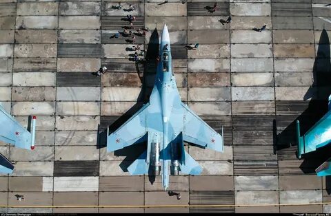 27 видов