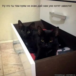 Прямо там