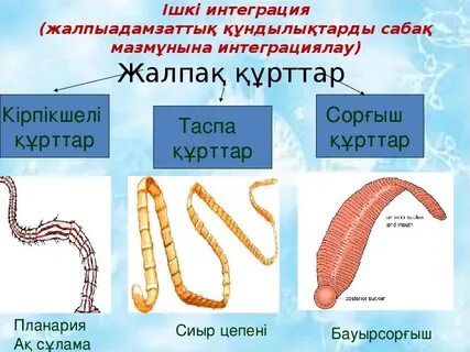 Қара адамдар туралы порно көру