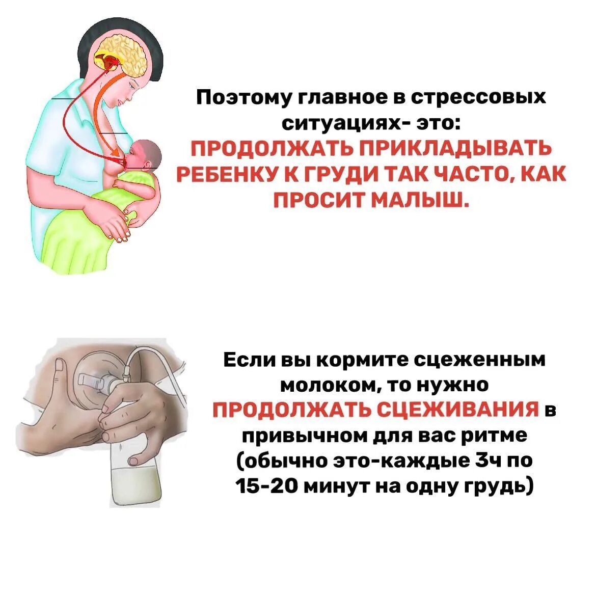 Отсутствие грудного вскармливания. Как матери называют своих детей ласково. Ребенок психует при кормлении. Новорожденный не берет грудь. Как влияет на здоровье матери длительное кормление грудью.