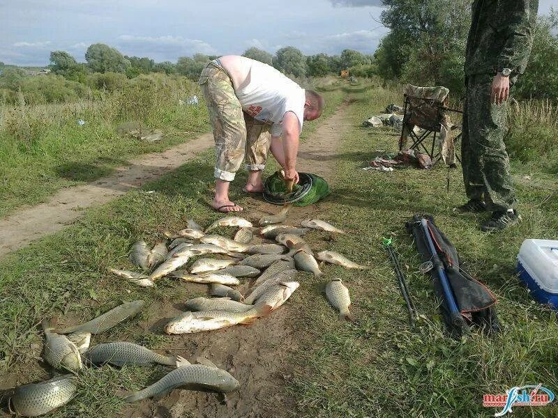 Марий эл рыбалка волга. Рыбалка на Волге в Марий Эл. Рыбалка в Марий. Платные пруды в Марий Эл для рыбалки. Портчара Марий Эл рыбалка.