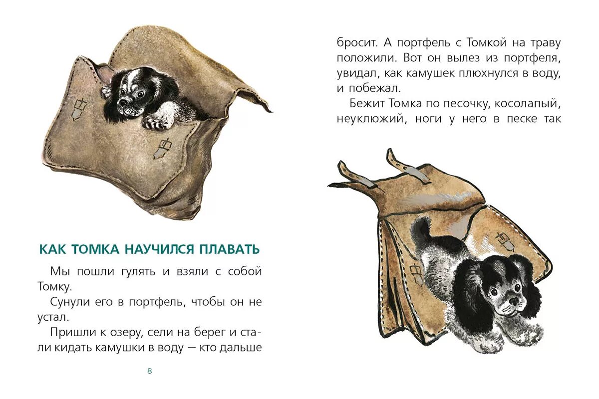 Как томка научился