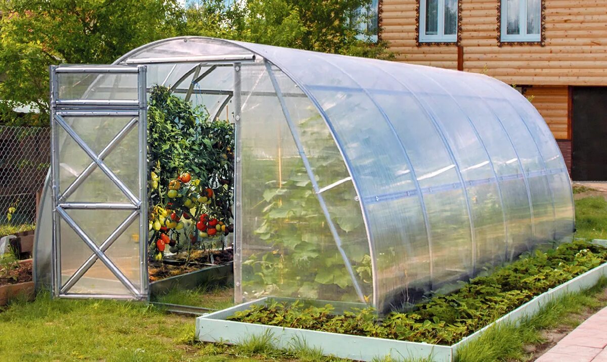 Теплицы в красноярске где. Теплица из поликарбоната 4х3х2100. Поликарбонатная теплица. Теплицы в красноярске где. Теплицы в красноярске где.
