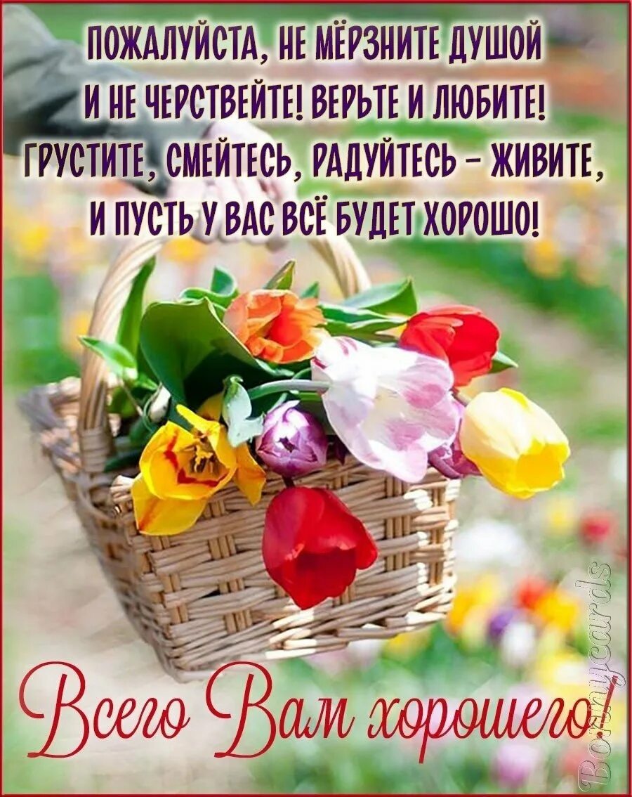 Открытка доброго душевного дня. Приветствие и добрые пожелания. доброго дня радостных событий. приветствия и пожелания на каждый день. счастья каждый день открытки.