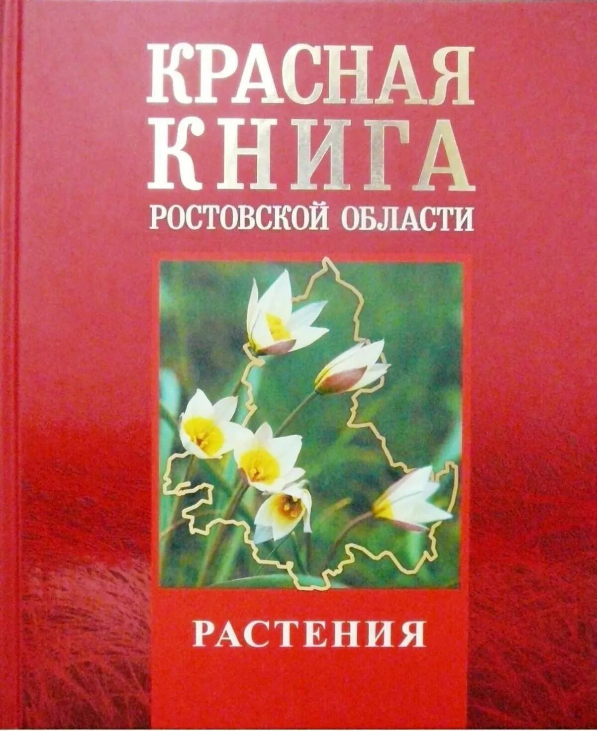 Включи красную книгу растений. Красная книга Ростовской области растения облоожка. Цветы красной книги Ростовской области. Растения красной книги Ростовской области. Красная книга Ростовской области.