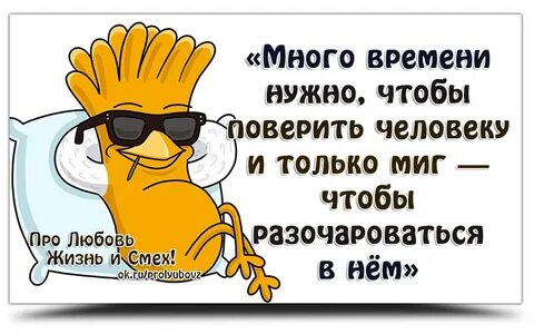Жизнь любовь смех