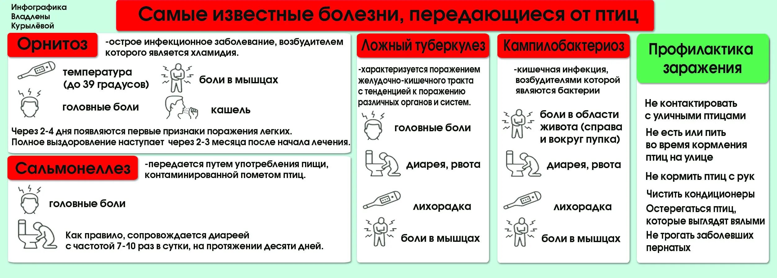 Подцепил какую болезнь. Голуби переносчики болезней. Болезни переносимые голубями. Птицы переносчики заболеваний. Какие болезни переносят птицы.