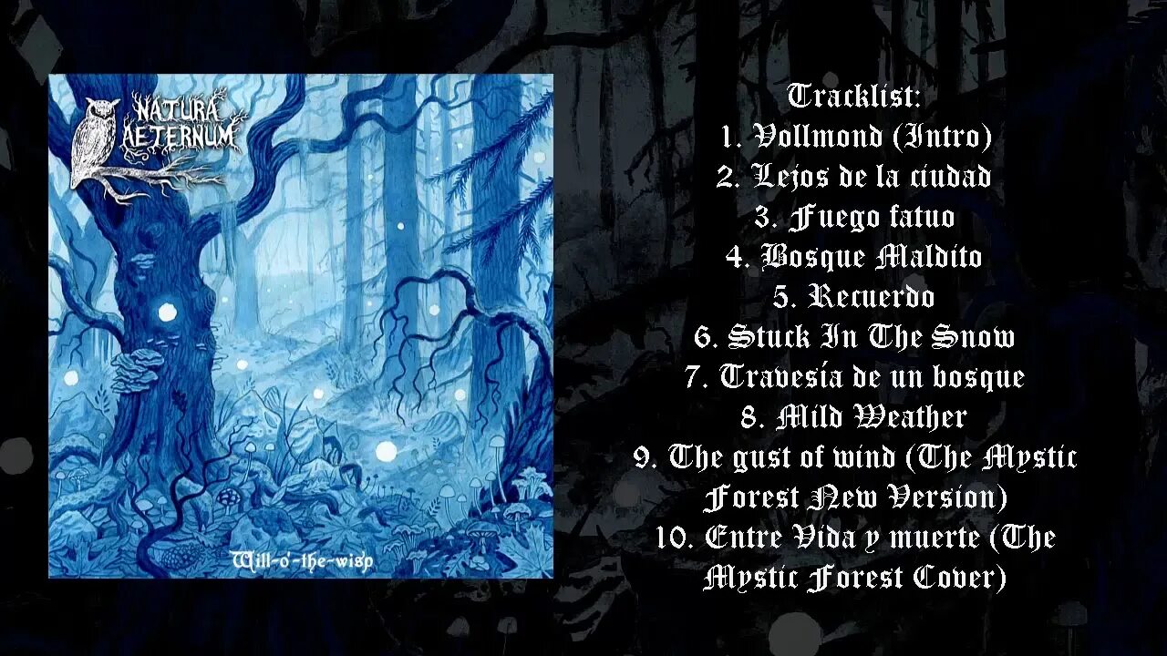 Wisp перевод. Will-o-the wisp группа. natura aeternum band. will o wisp.