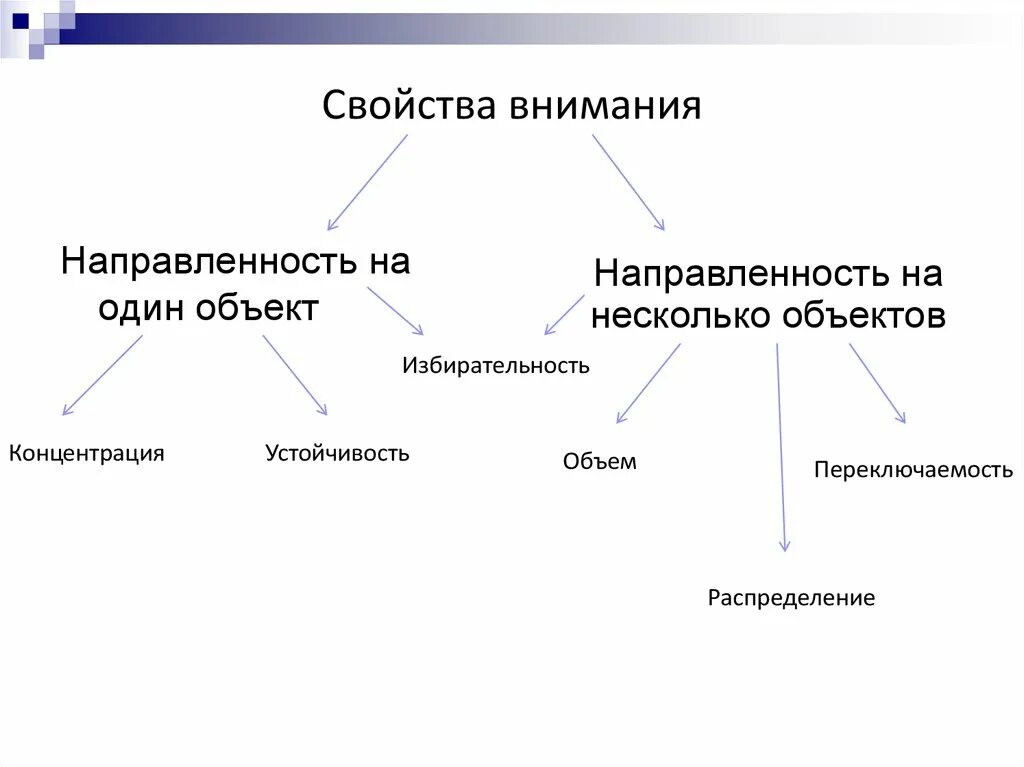 Свойства внимания. Свойства внимания направленность. Направленность внимание на один объект. Направленность внимания характеристика. Особенности свойств внимания