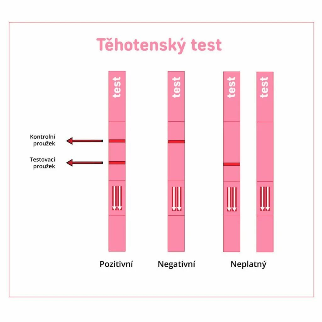 Тест на беременность ovie. Тест на беременность. Тест pregnancy Test strip. HCG тест на беременность. Pregnancy Test strip тест на беременность положительный.