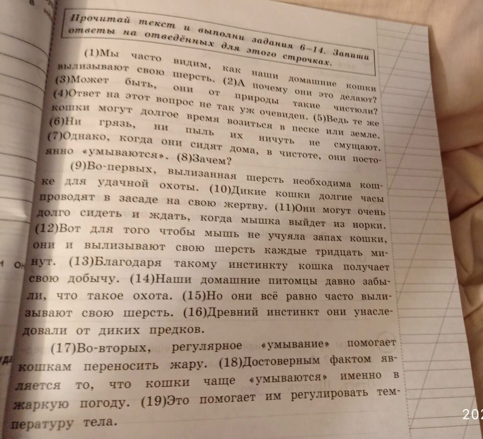 Составь план прочитанного текста: найдено 75 изображений