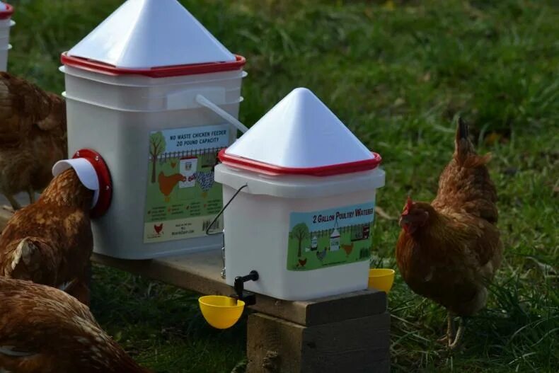 Автоматическая кормушка для кур. Кормушка для кур с трубы. Кормушка для несушек. Механическая кормушка для кур. Гнёзда для кур с ящиками.