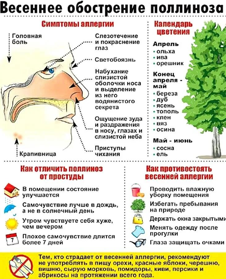 Зуд в носу при простуде. Сенная лихорадка поллиноз симптомы. Поллиноз у детей. Симптомы аллергии на цветение.