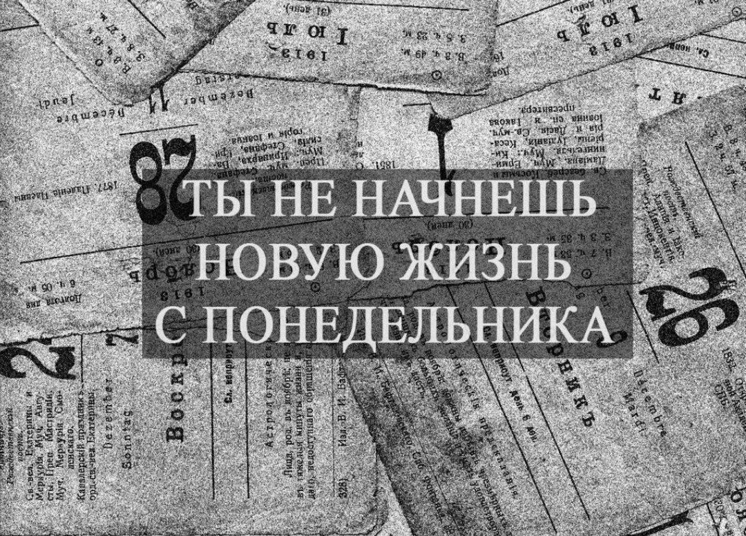 Высказывания на каждый день. Начну с понедельника новую жизнь. С добрым утром вторника прикольные. Будущее начинается сегодня. Открытки с добрым утром вторника прикольные.