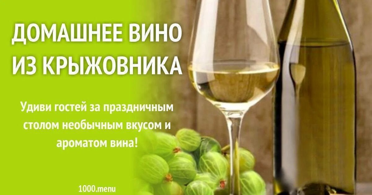 Вино из крыжовника простой. Домашнее вино из крыжовника. Вино из крыжовника. Крыжовник вино. Вино домашнее из крыжовника вкусное?.