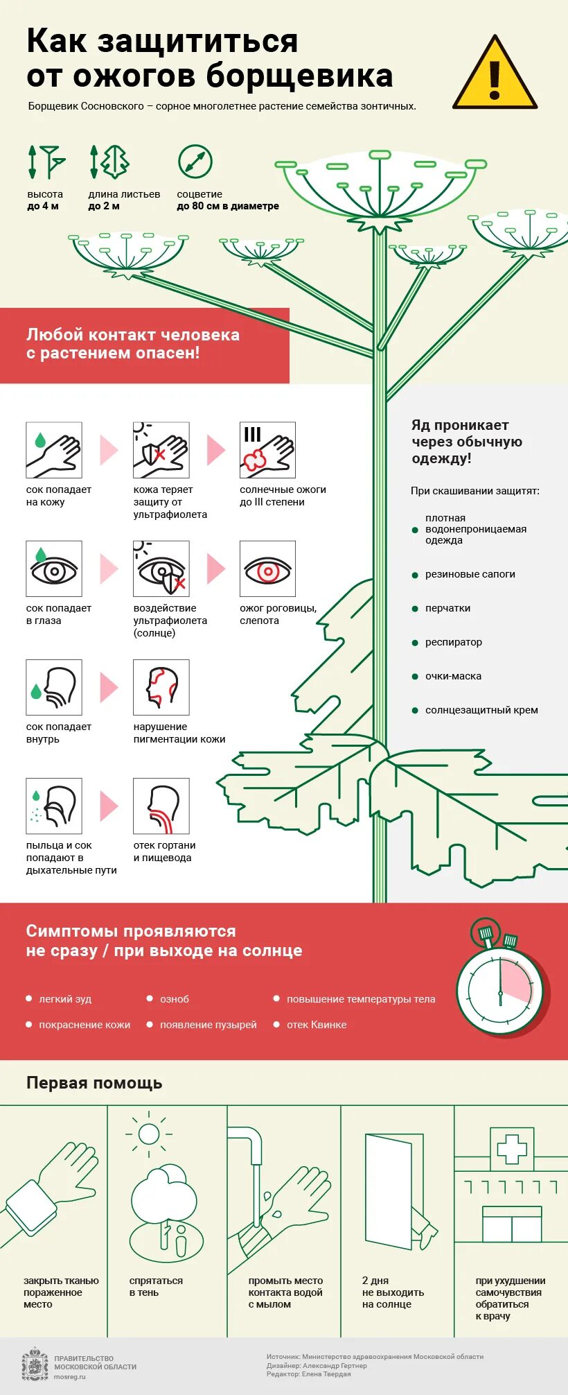Методы борьбы с борщевиком. Косьба борщевика. Борщевик опасен. Одежда для борьбы с борщевиком. Борщевик памятка.