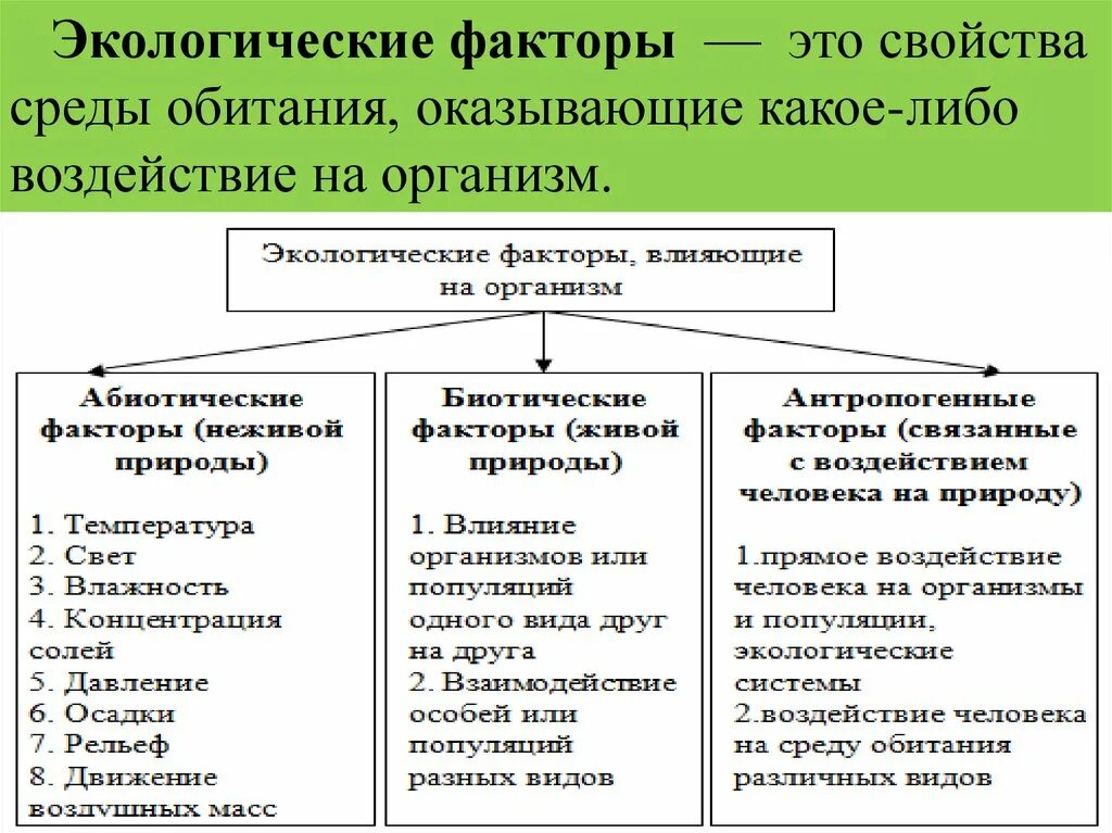 Экологические факторы. Этологические факторы. Экологические факторы среды. Влияние экологических факторов на организм человека. Экологические факторы 5 класс биология тест