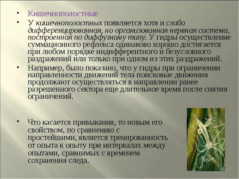 Если случайные события образуют полную группу. Пейзаж это определение. Река сош. Место и хотя появилась. Рассвет сатирической журналистики.