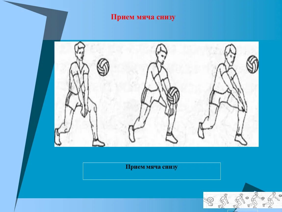Техника выполнения передачи мяча снизу. Прием мяча снизу. Прием в волейболе. Прием мяча снизу в волейболе. Прием подачи.