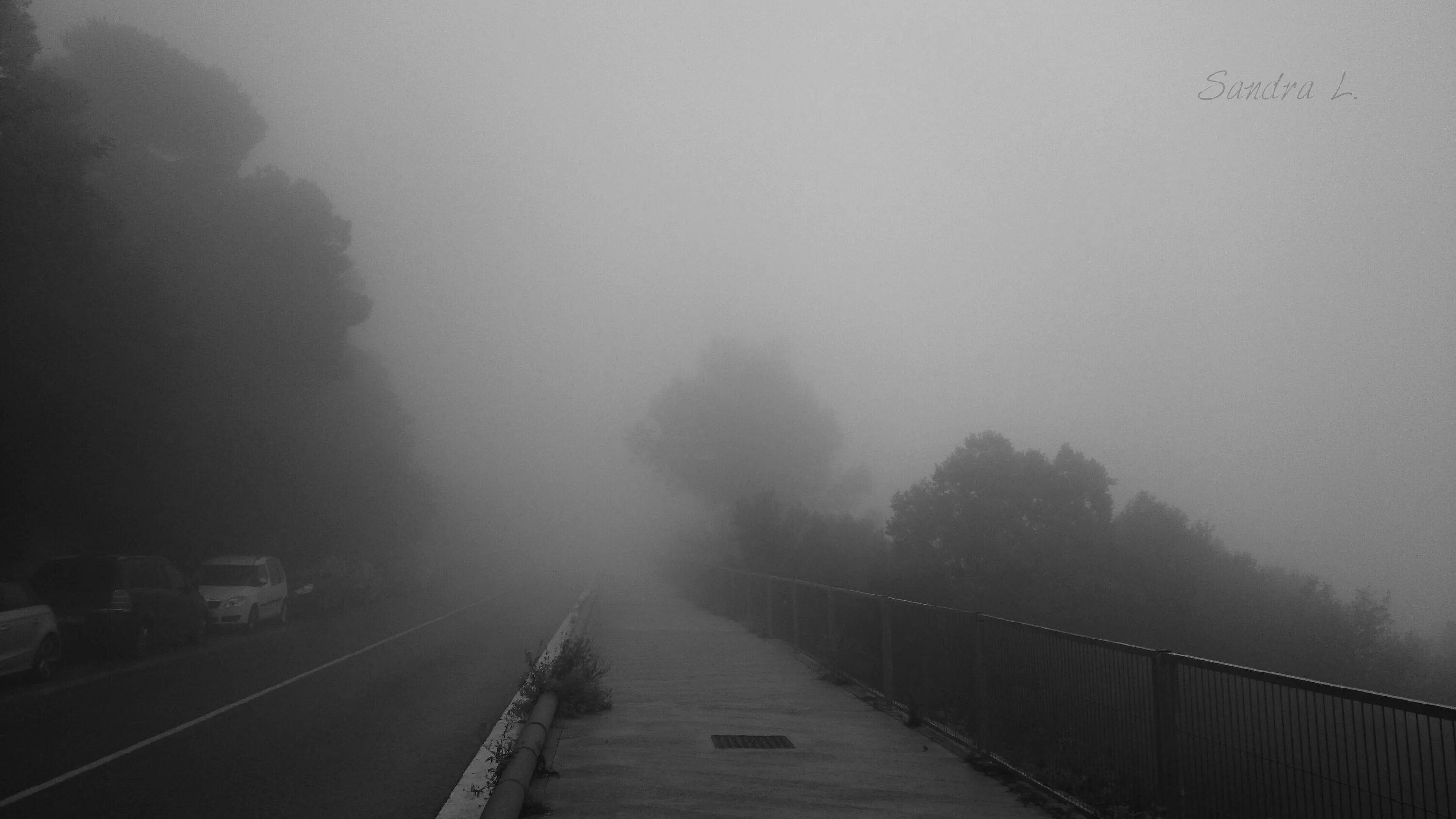 осень холодная жуткая. туман после дождя. дождь туман. дождь. туман.