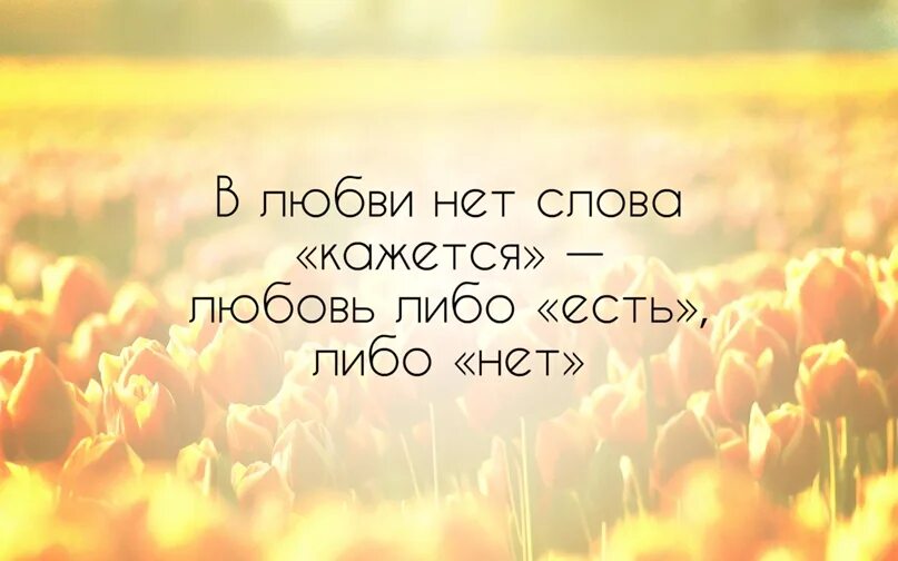 Всегда либо. Любовь либо есть либо нет. Любовь либо есть либо ее нет высказывания. Любовь либо она есть либо ее нет. Либо любишь либо нет.