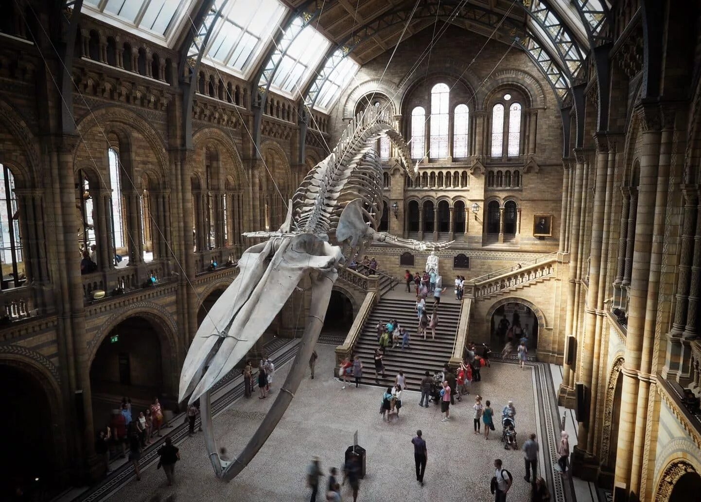 Музей лондона 5. Музей natural History Museum. Музей естествознания Лондон. Natural History Museum London. Музей естествознания Лондон архитектура.