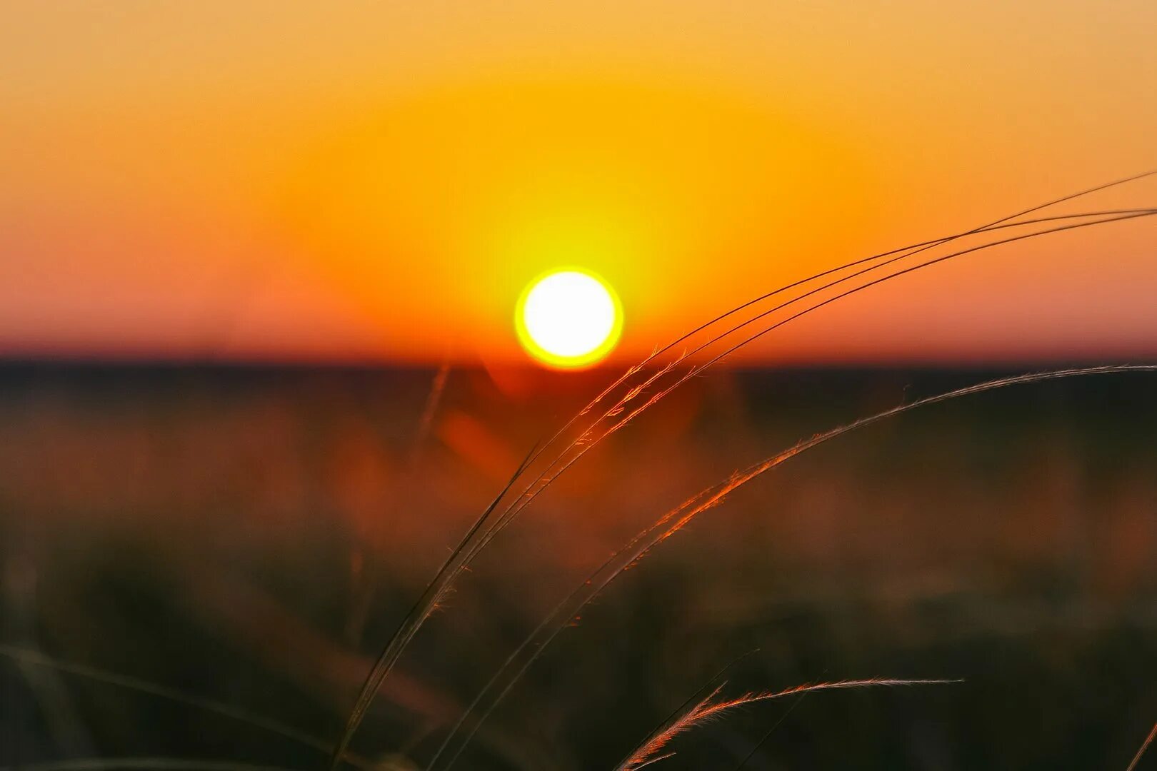лучики солнца. половинка солнца лучами.
