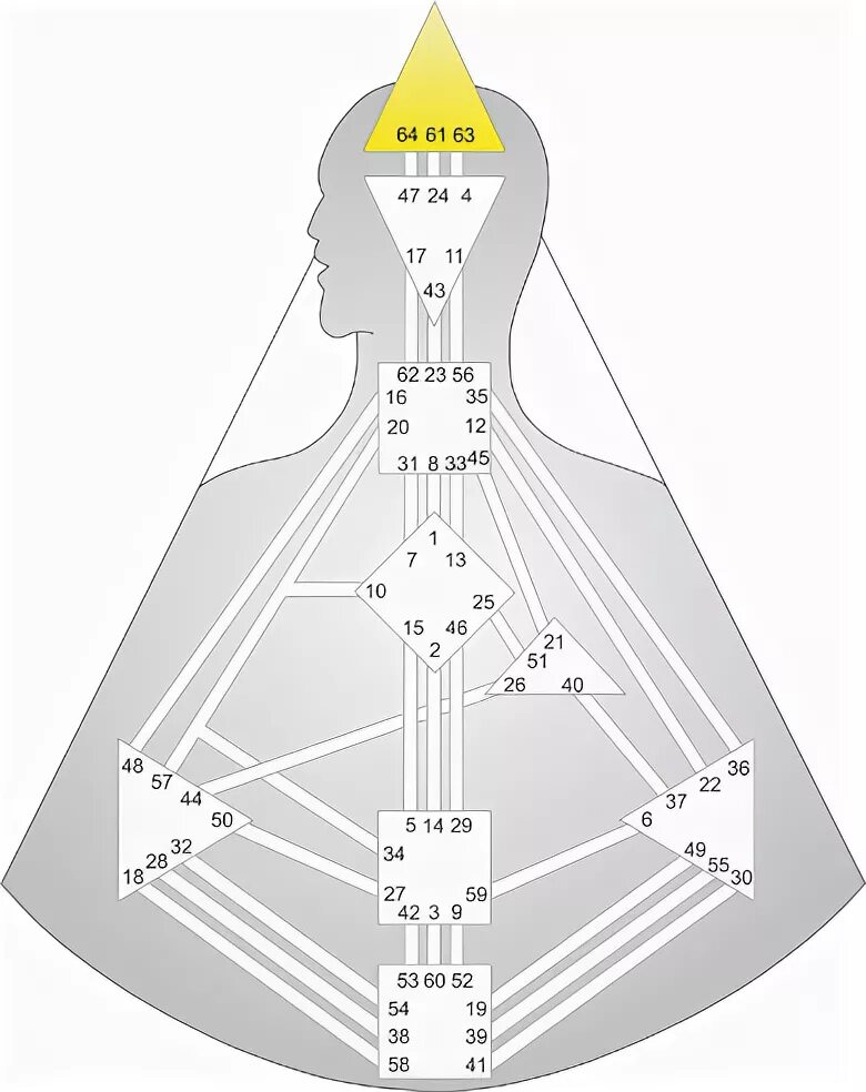 Бодиграф эго центр. Центр селезенки в дизайне человека. Селезеночный авторитет дизайн человека. Human Design бодиграф. Авторитеты в дизайне человека