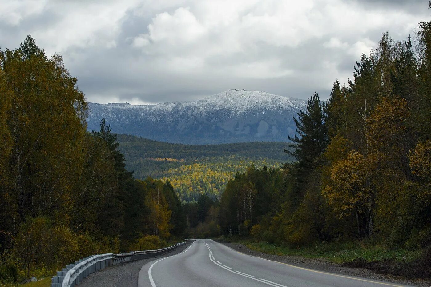 Лес секвойя дорога горы. Washington park» (штат орегона). Домбай ульген гора. Е горов. Лес секвойя дорога горы.