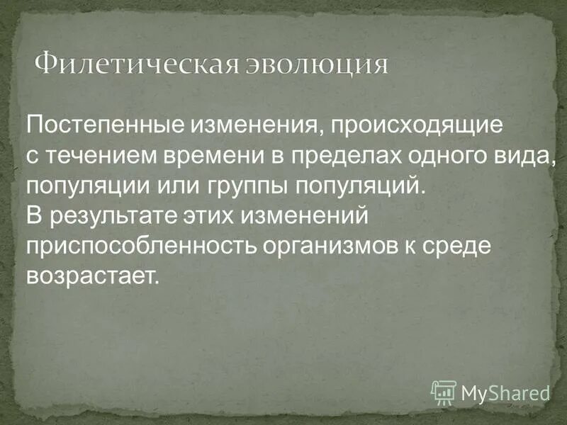 Микроэволюция. Микроэволюция концепция вида. Эволюционные процессы происходящие в популяции. Этапы микроэволюции. Эволюционные процессы эволюционные процессы.