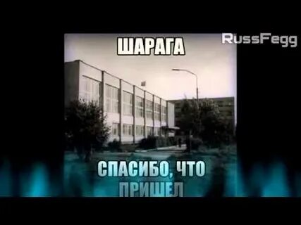 Слово шарага