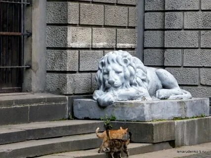 Белый лев санкт петербург