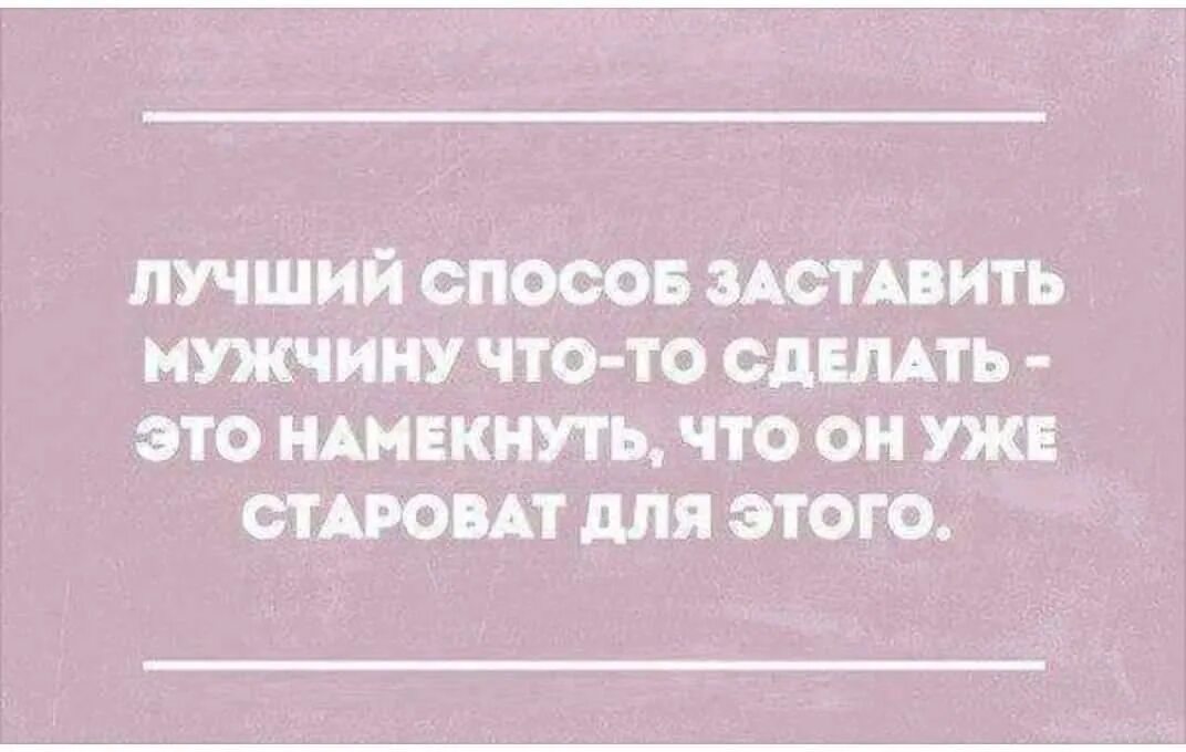 Что нужно сделать чтобы сон сбылся. Смешные афоризмы про идиотов. Выражения про работу. Смешные цитаты про идиотов. Выражения про зарплату.