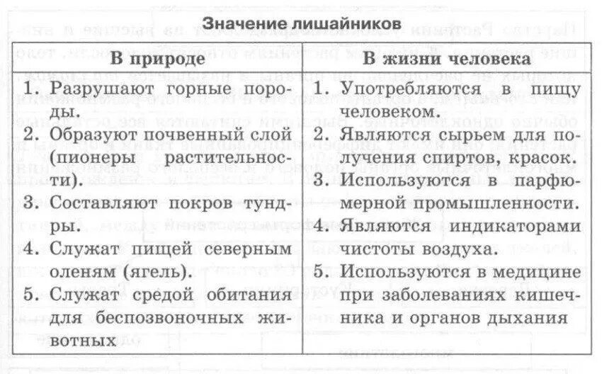 Значение лишайников. Значение лишайников в природе и для человека. Значение лишайников в природе и жизни человека. Значение лишайников таблица.