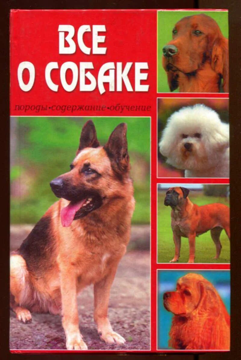 Пес содержание