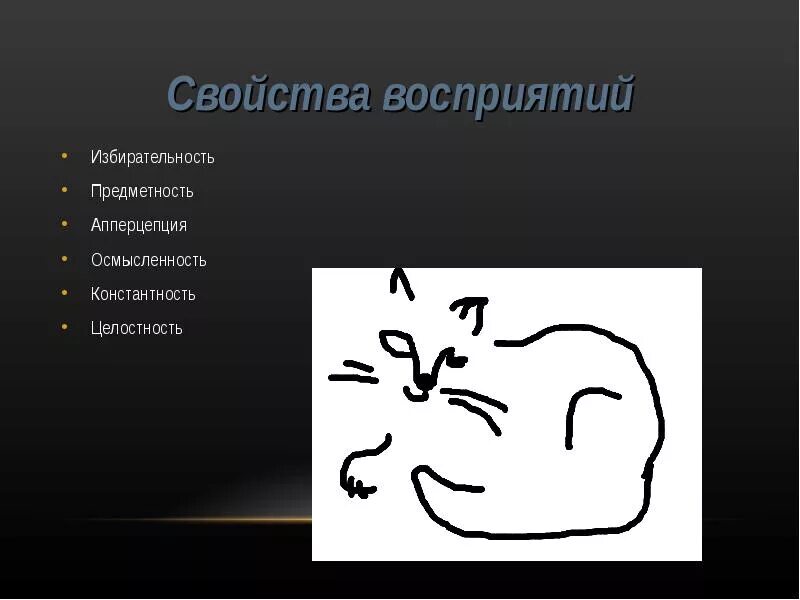 Осмысленность избирательность константность. Апперцепция восприятия. свойства восприятия избирательность. избирательность и осмысленность восприятия. апперцепция это в психологии.
