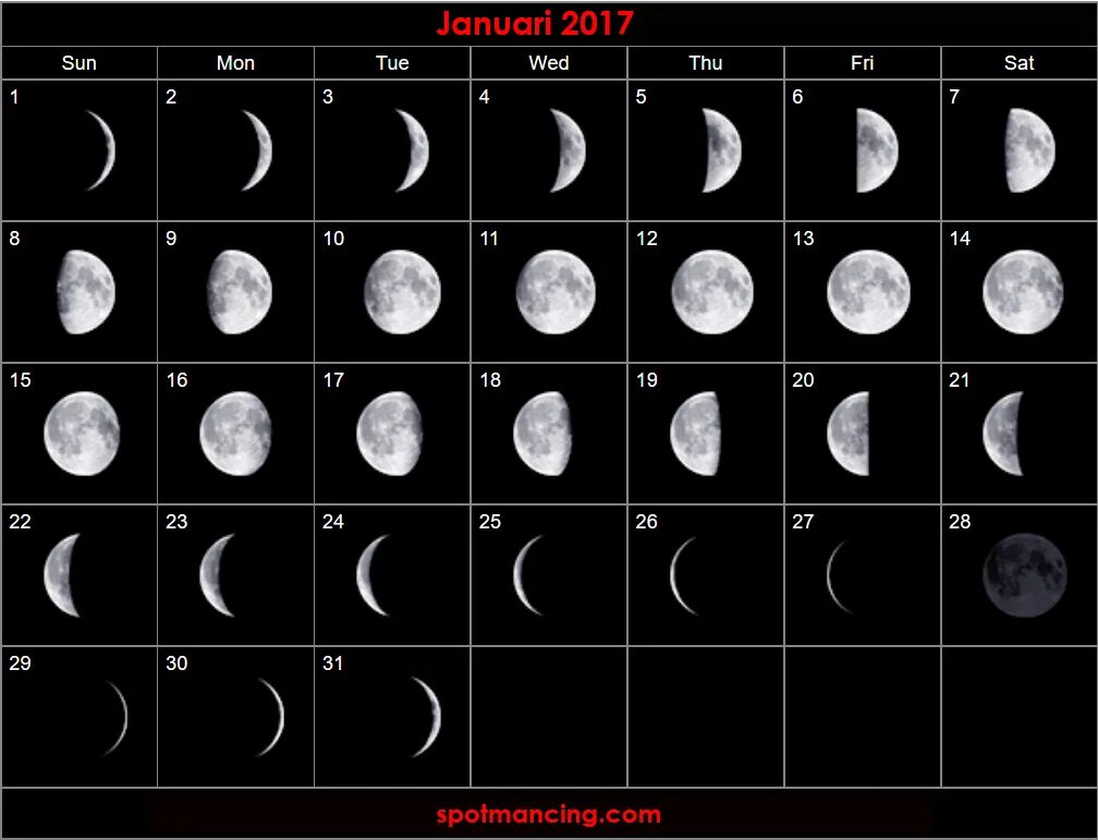 Луна 2009 год. Фаза Луны 4.04.2004. Фаза Луны 01.01.1999. Фаза Луны 22.03.1994. Фаза Луны 21.06.2000.