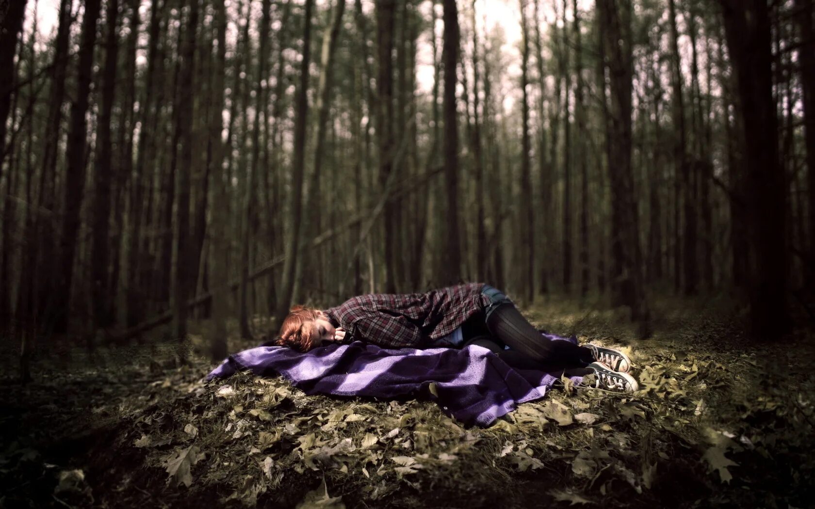 над спящим лесом. лесная тропа лунный свет. сказочный сон. девушка парит в воздухе. еще майская ночь афанасий фет картина.