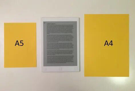 Paper 5