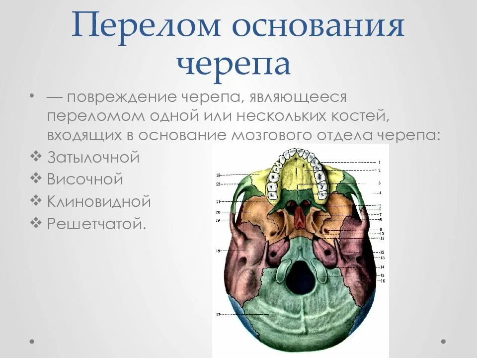 Для перелома основания черепа характерно. Перелом костей основания черепа с повреждением продолговатого мозга. Для перелома основания черепа характерен симптом:. Клинические признаки перелома основания черепа. Основной симптом при переломе основания черепа.