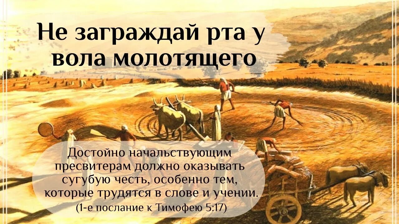 Достойно трудились