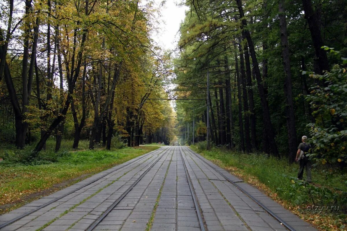 Лесопарк Измайлово. Измайловский парк парк. Парки Москвы Измайловский парк. Измайловский парк лесопарк.