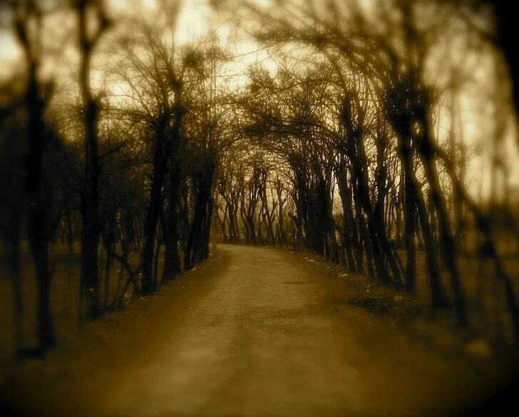 Take the long way