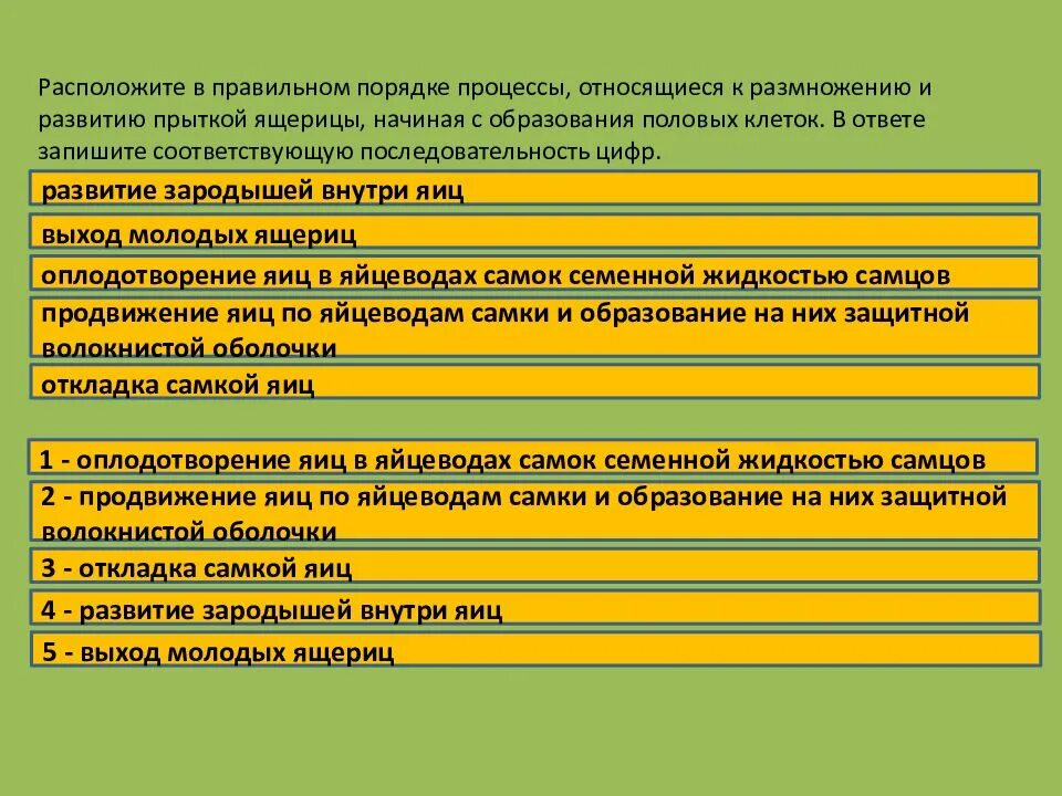 Обозначь верную последовательность процессов. Порядок процессов размножения и развития. порядок процессов размножения и развитию птиц. размножение и развитие прыткой ящерицы. процессы размножения и развития прыткой ящерицы.