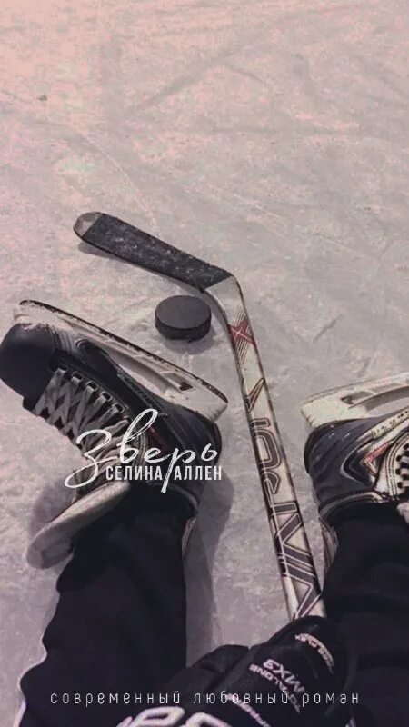 Селин аллен эффект фостера. Книга любовь зверя. Обои на телефон эстетика хоккей. Саша шу. Селин аллен эффект фостера.